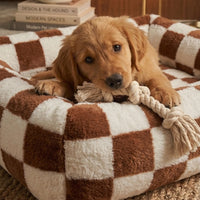Canapé pour chien - Loft