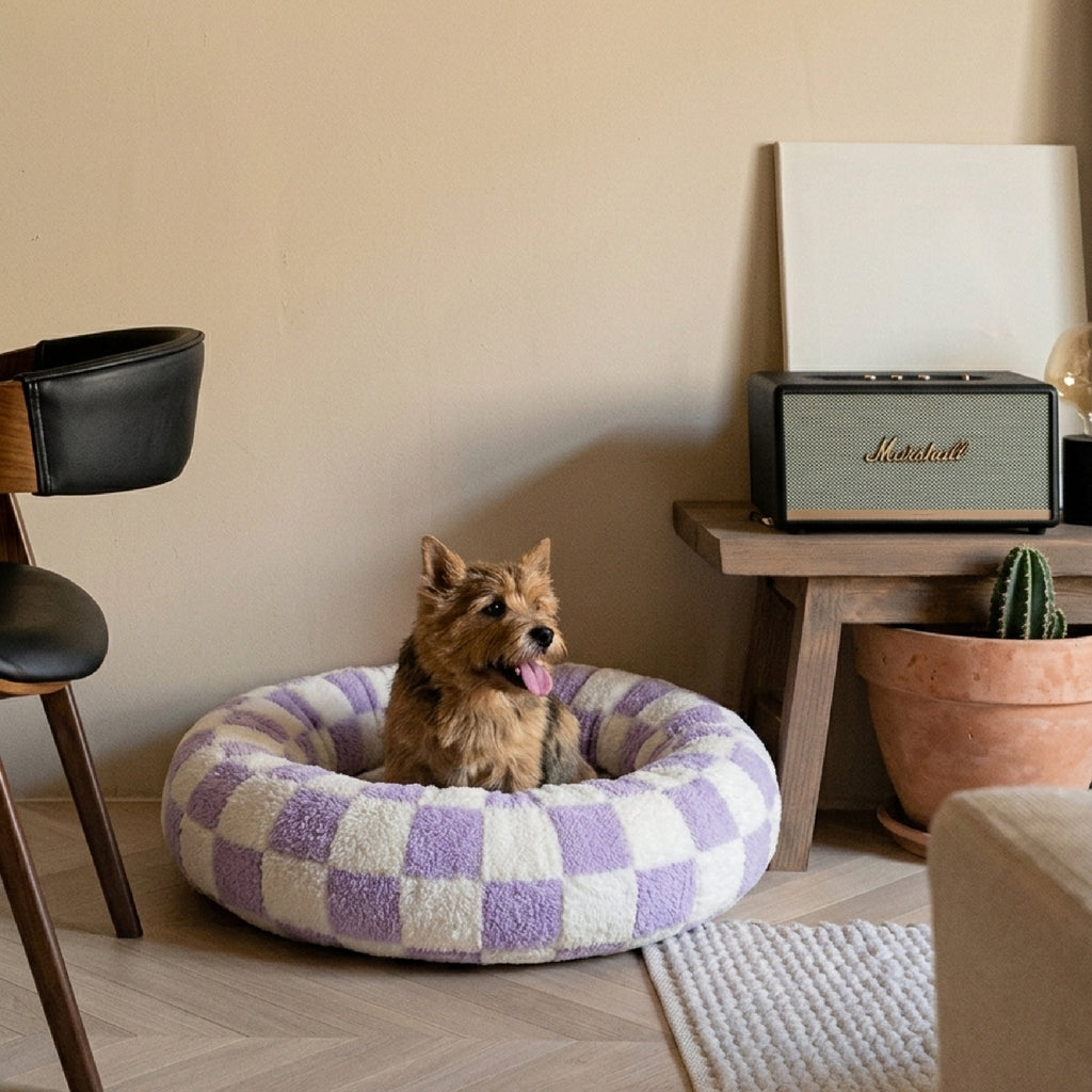 Lit pour chien -Cosy violet