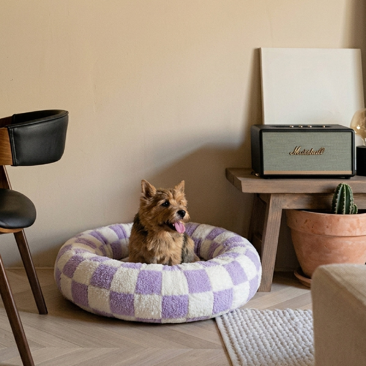 Lit pour chien -Cosy violet