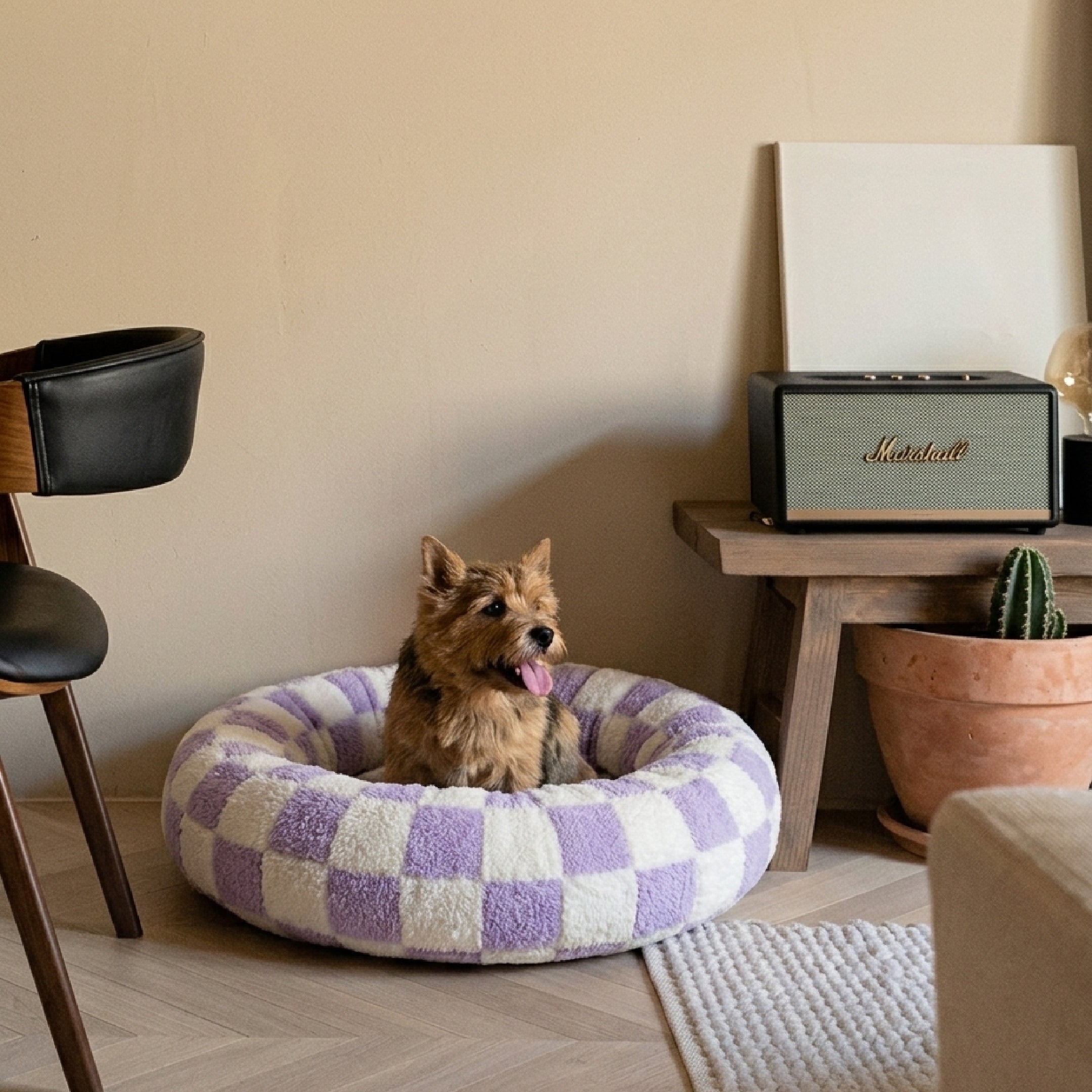 Lit pour chien -Cosy violet