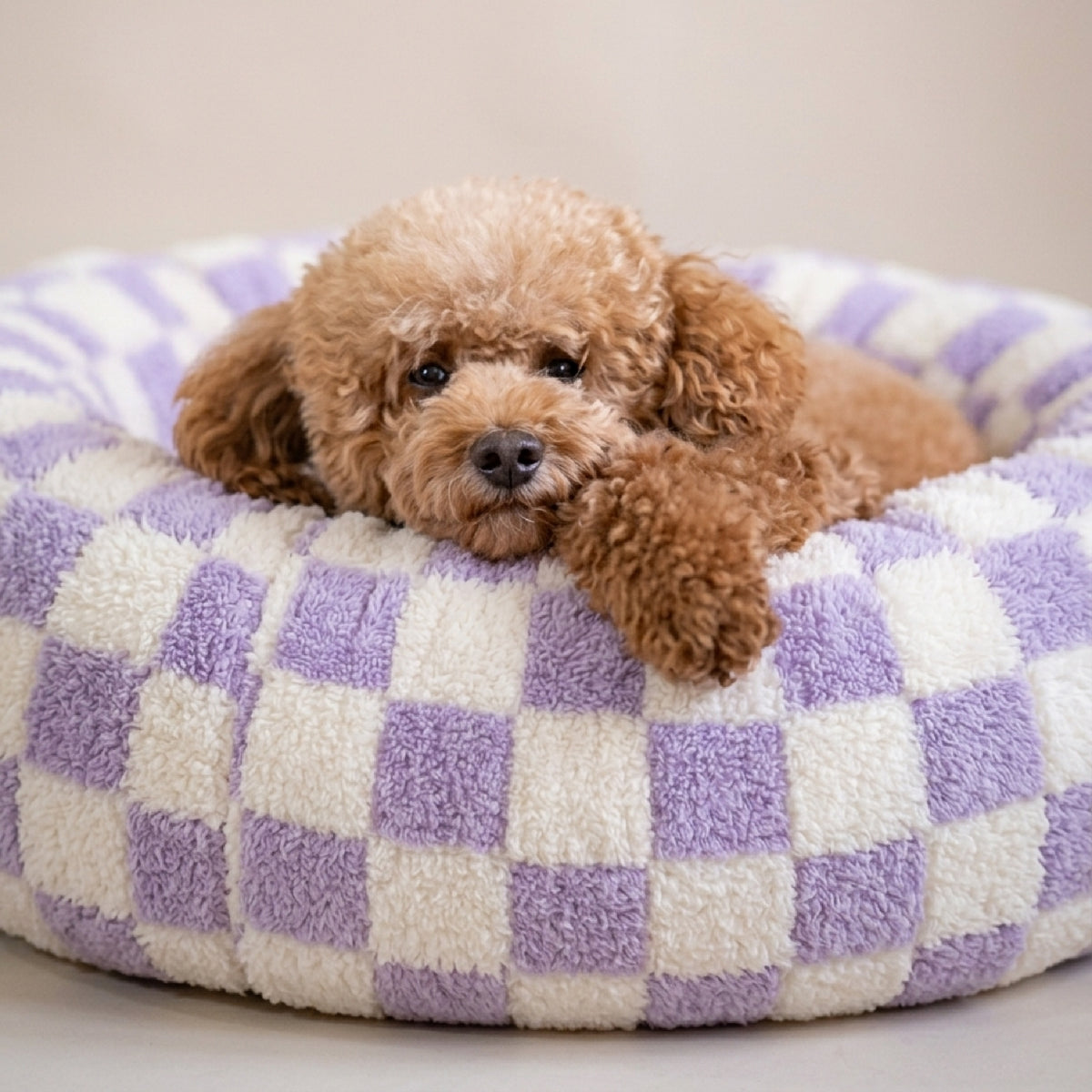 Lit pour chien -Cosy violet