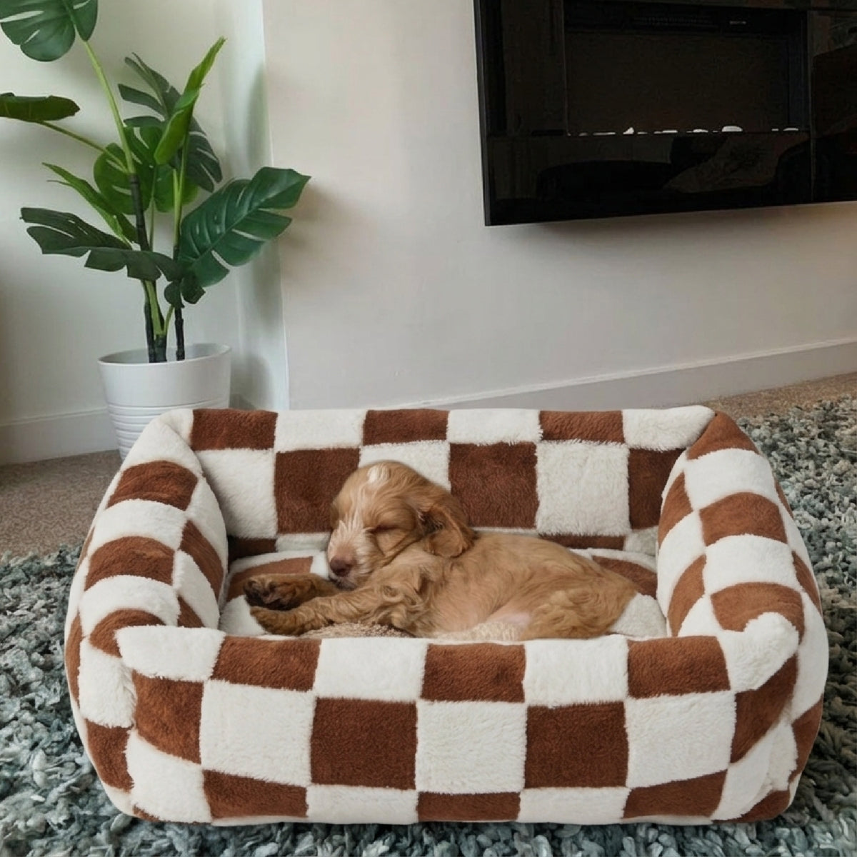Canapé pour chien - Loft