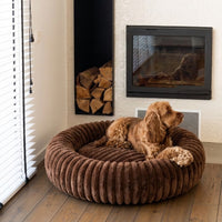 Lit pour chien - Collection Cocoon